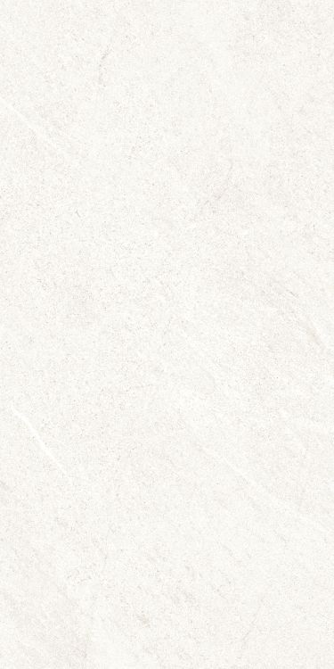 Dhara White Matte 12 x 24